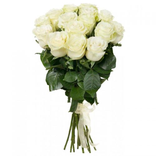 15 белых роз с доставкой на дом! по Котельничу