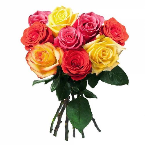 Заказать с доставкой 9 разноцветных роз по Котельничу